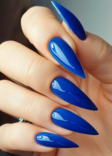 Stunning cobalt blue stiletto nails with a high-gloss finish and flawless manicure.