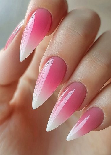 Elegant stiletto nails featuring a stunning pink-to-white ombre gradient design.