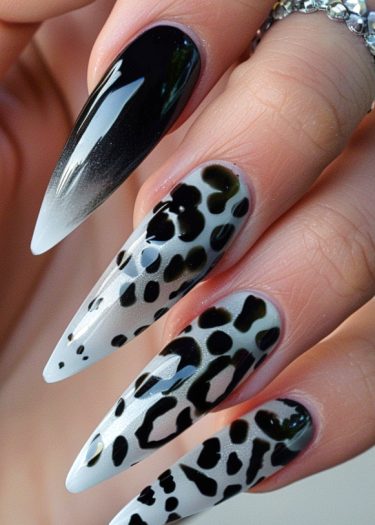 Stiletto nails with bold black-to-white gradient and chic leopard print designs.